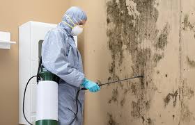 Best Emergency Mold Remediation  in Union Hall, VA